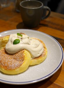 Flippers pancake suites