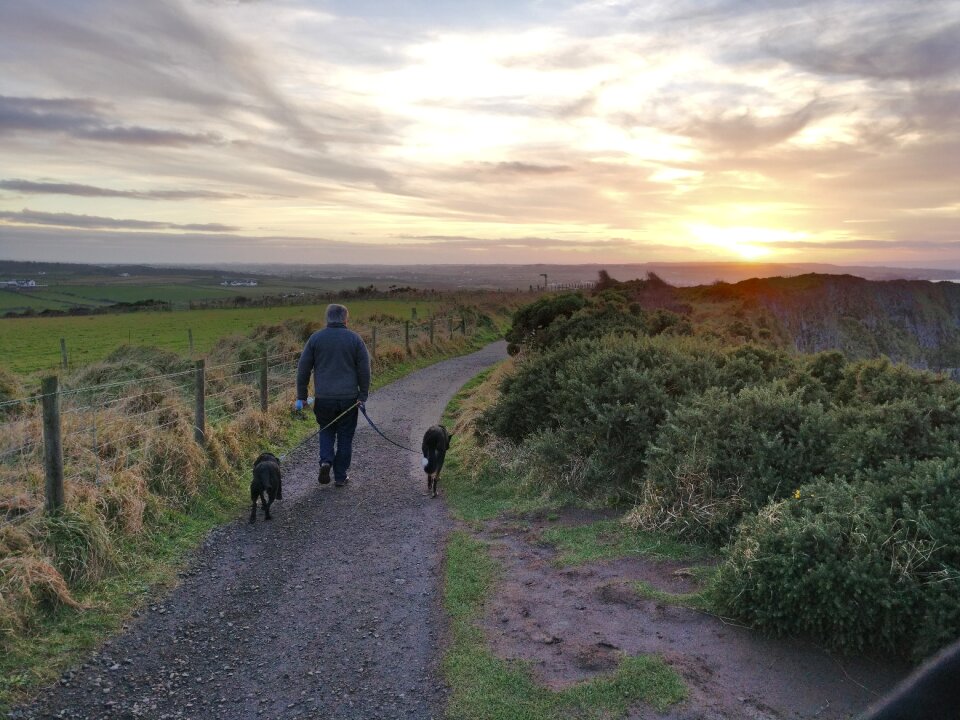 Man sunset giant's causeway