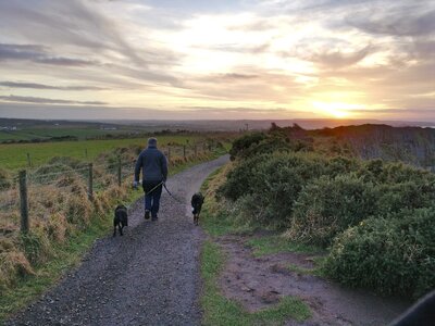 Man sunset giant's causeway