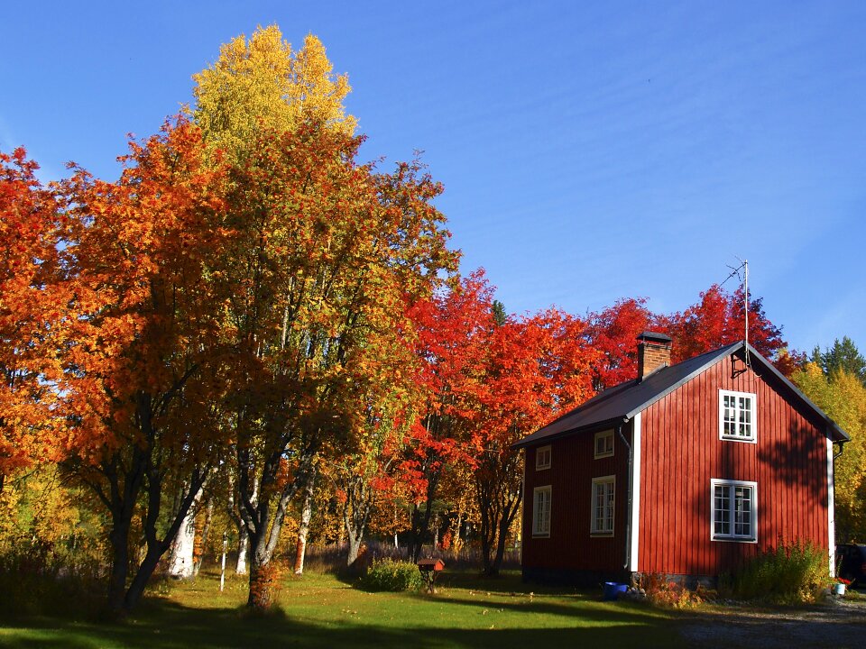 Cottage blue himmel