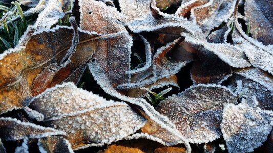 Winter snow landscape
