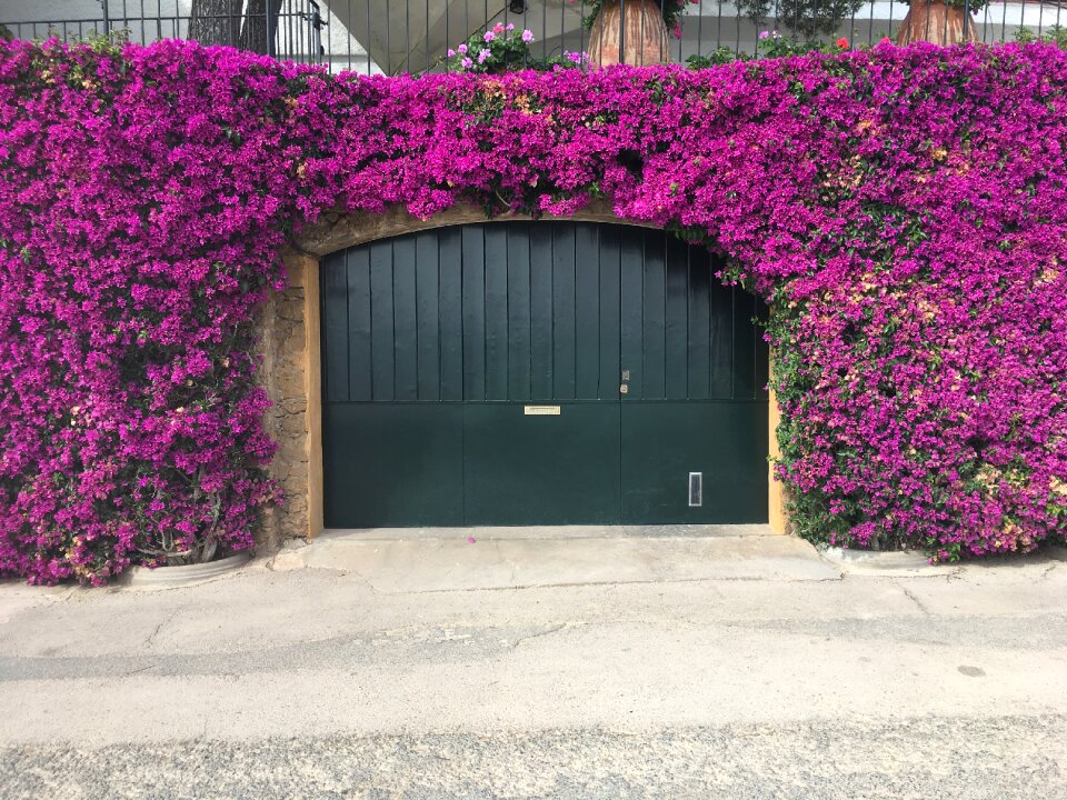 Porches flowers gate