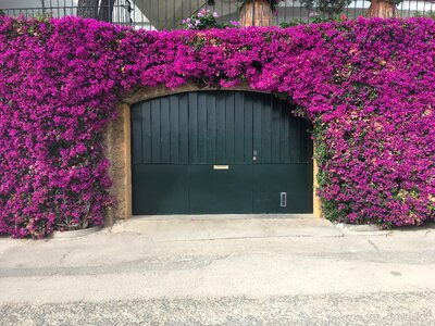 Porches flowers gate