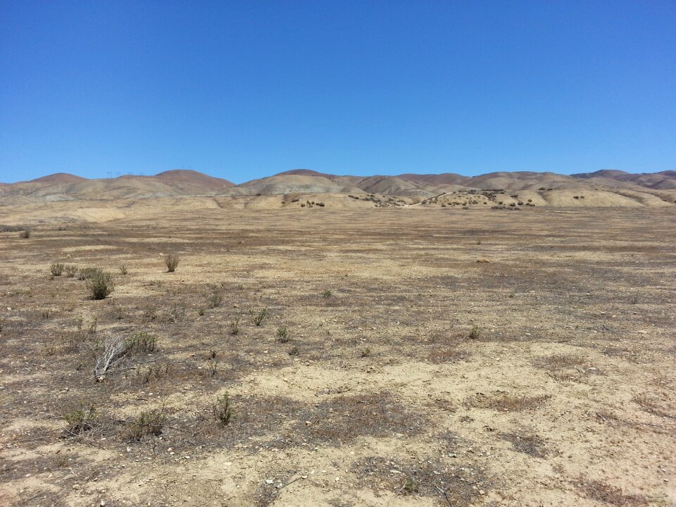 California dry usa