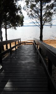 Path trees tranquility