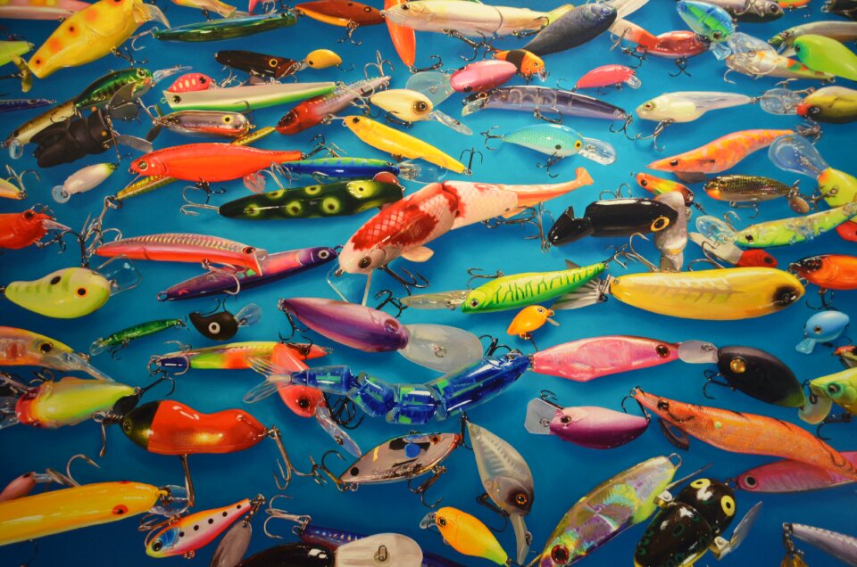 Bait colorful biennale