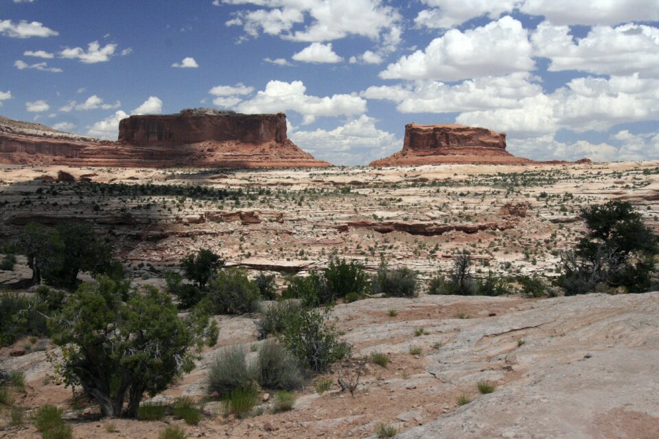 Monitor merrimac desert