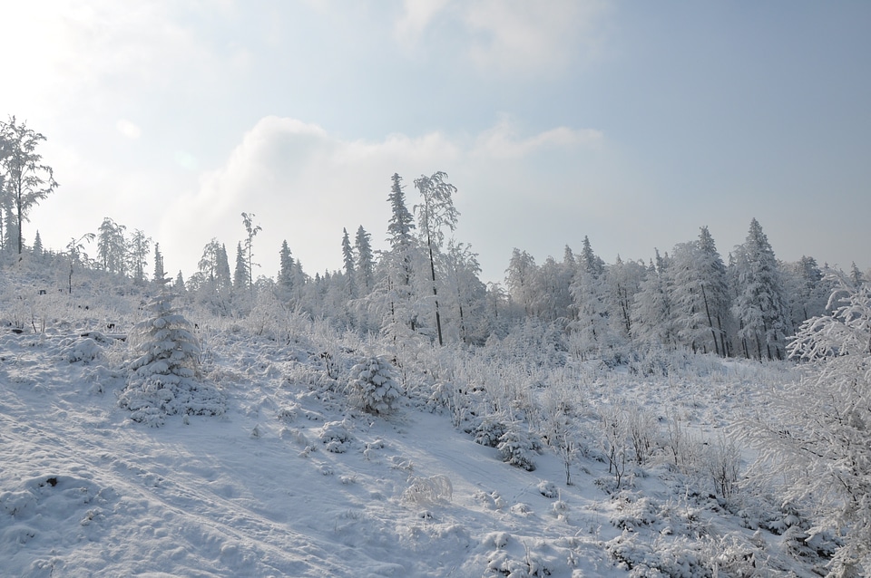 White landscape view