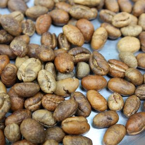 Coffee fresh bali