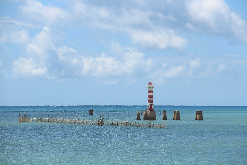 Green tip maceió alagoas