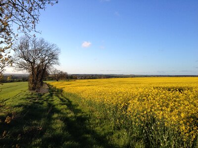 Sunny landscape spring photo