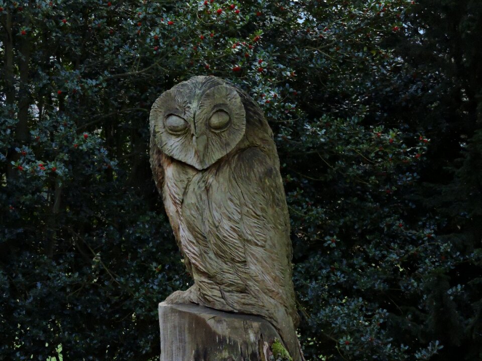 Wooden bird statue