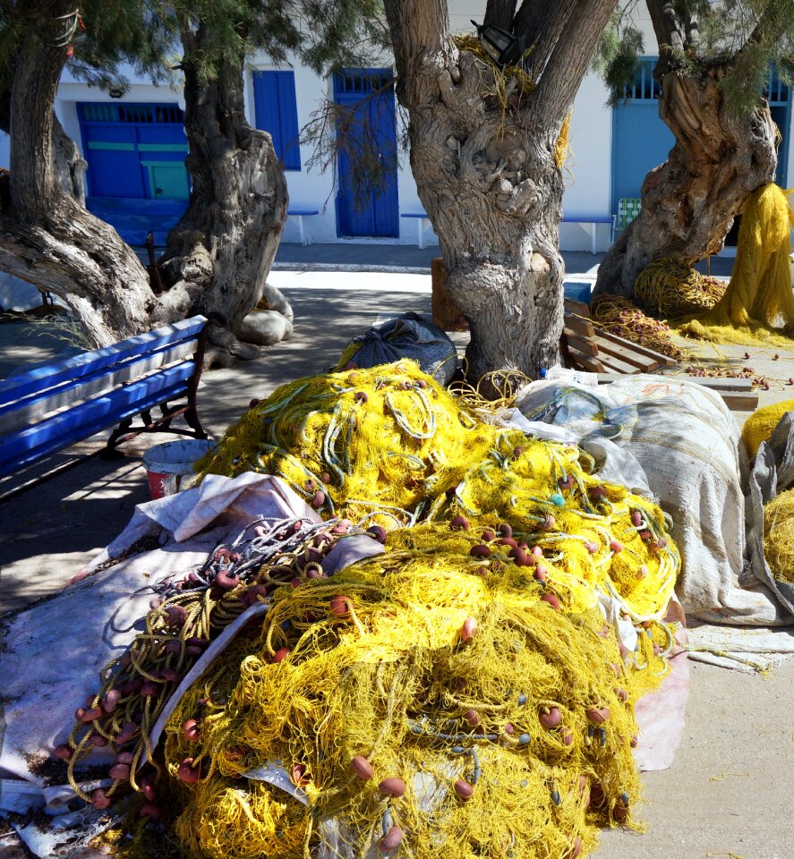 Fishing nets yellow trees