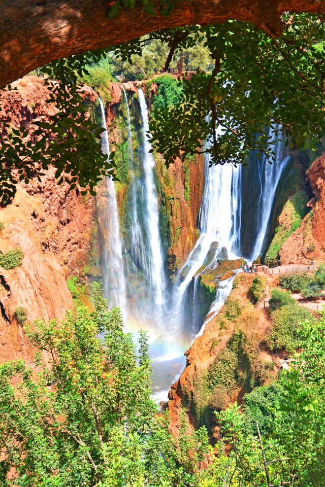 Travel natural africa