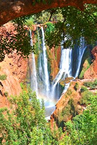 Travel natural africa