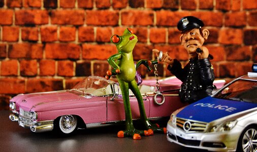 Frog chick policeman control