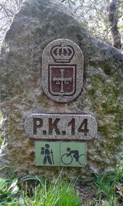 Indication walker asturias