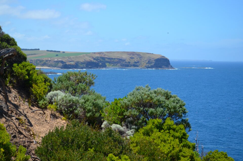 Australia seascape coast photo