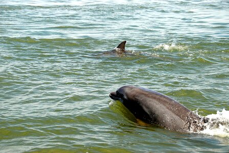 Nature sea water