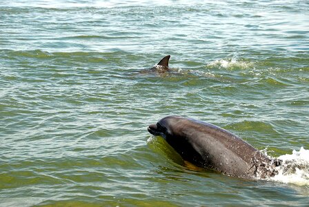 Nature sea water photo