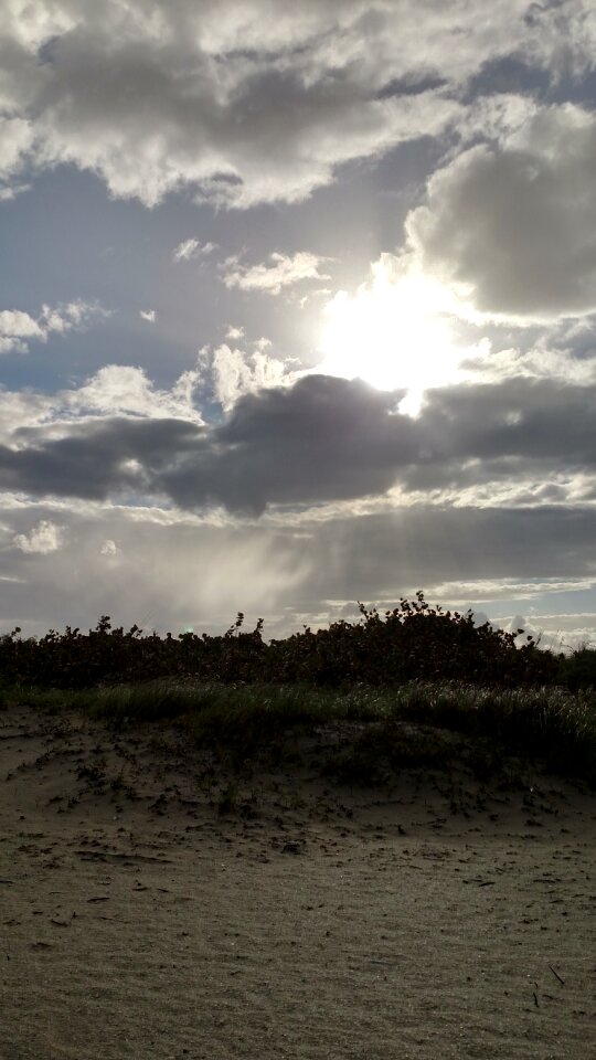Sun florida nature