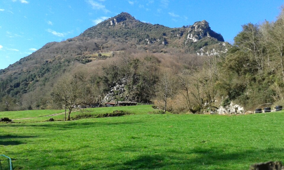 Landscape trees mountain