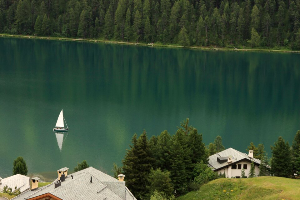 Trees calm landscape