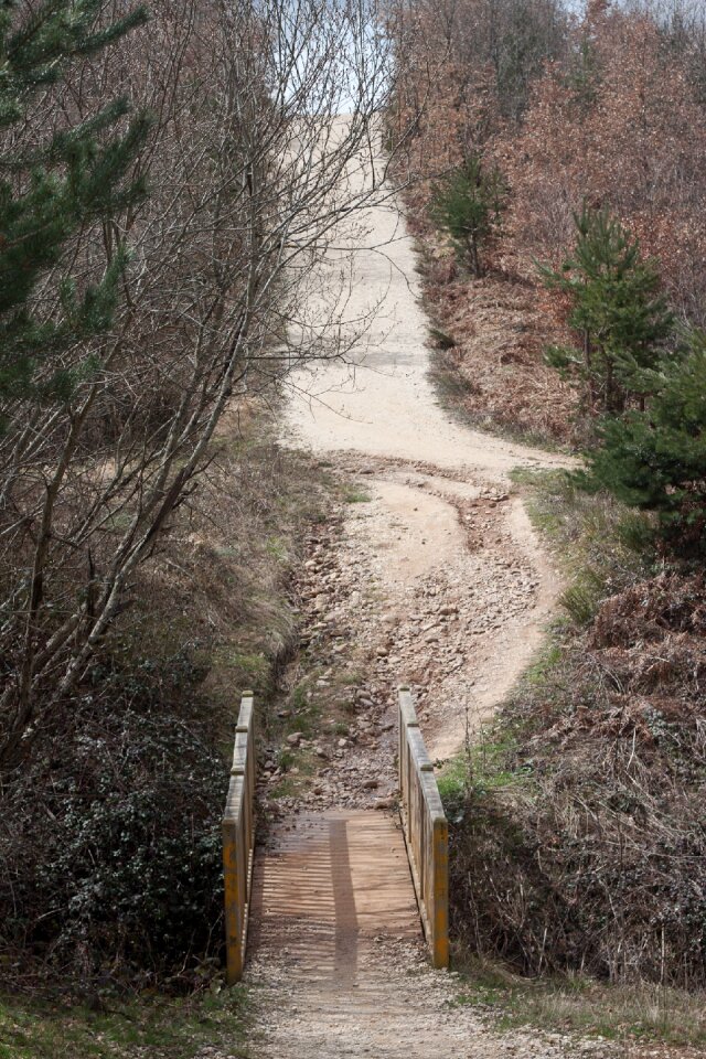 Web wood pedestrian bridge