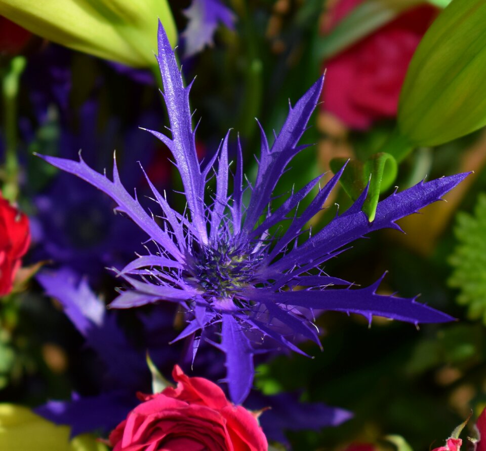 Bouquet nature flower