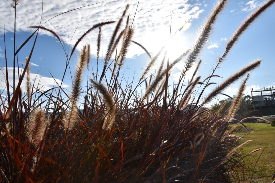 Nature sky