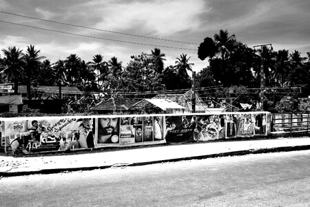 South india palm trees road