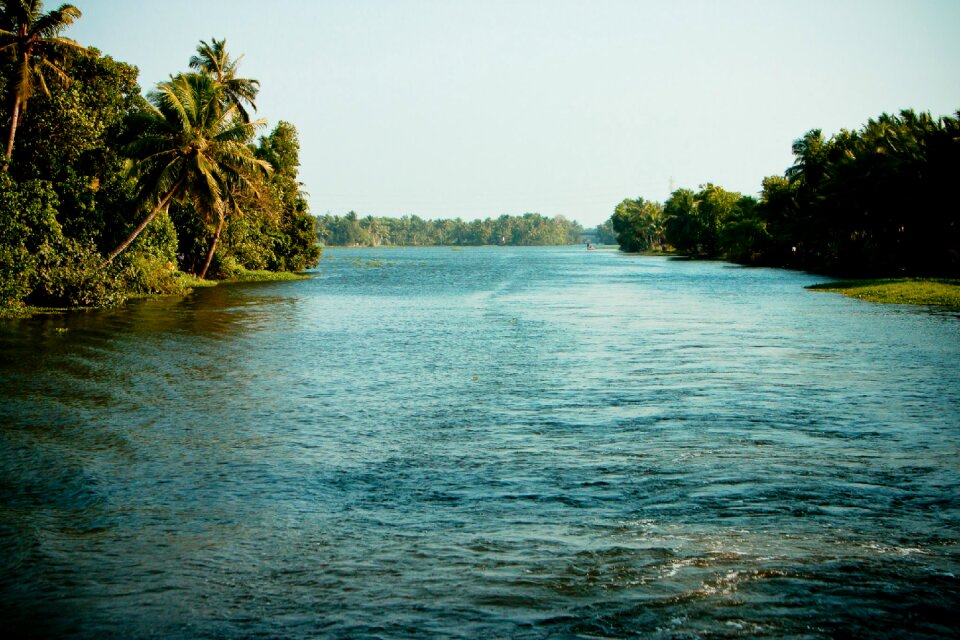 Water palm houseboat