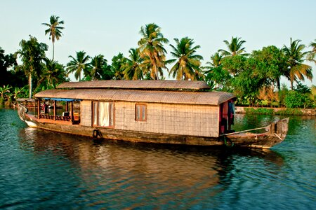 Water palm houseboat photo