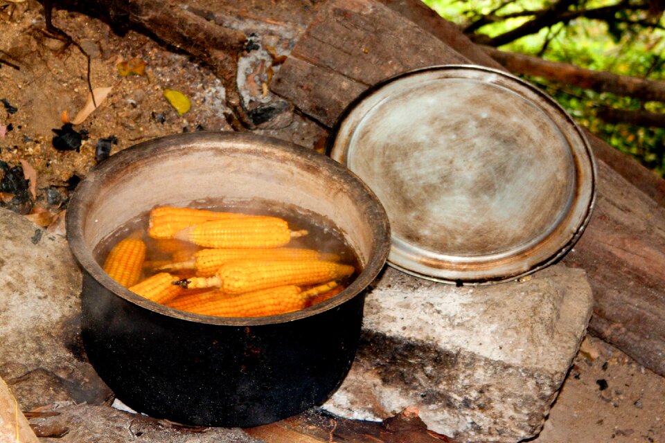 Boiling water corn vegetables
