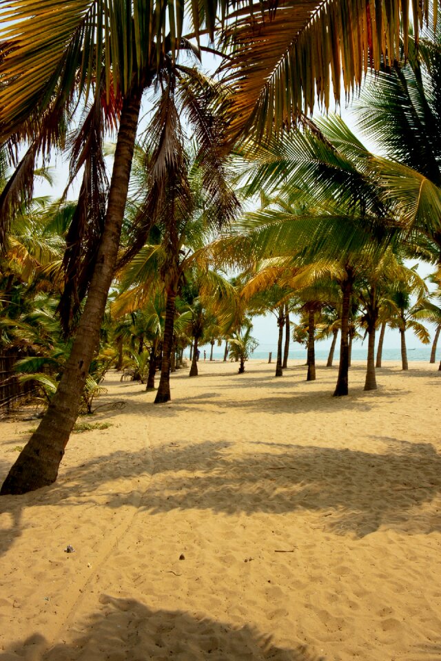 Water nature tropics