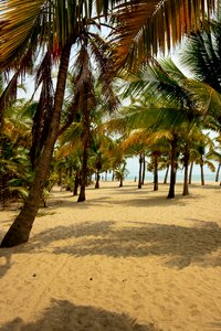 Water nature tropics