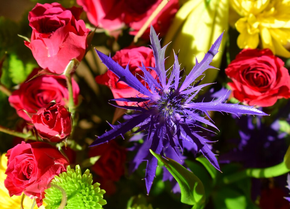 Bouquet nature flower