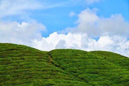 Landscape sky backgrounds