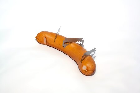 Dog bait pet enemy dog hater