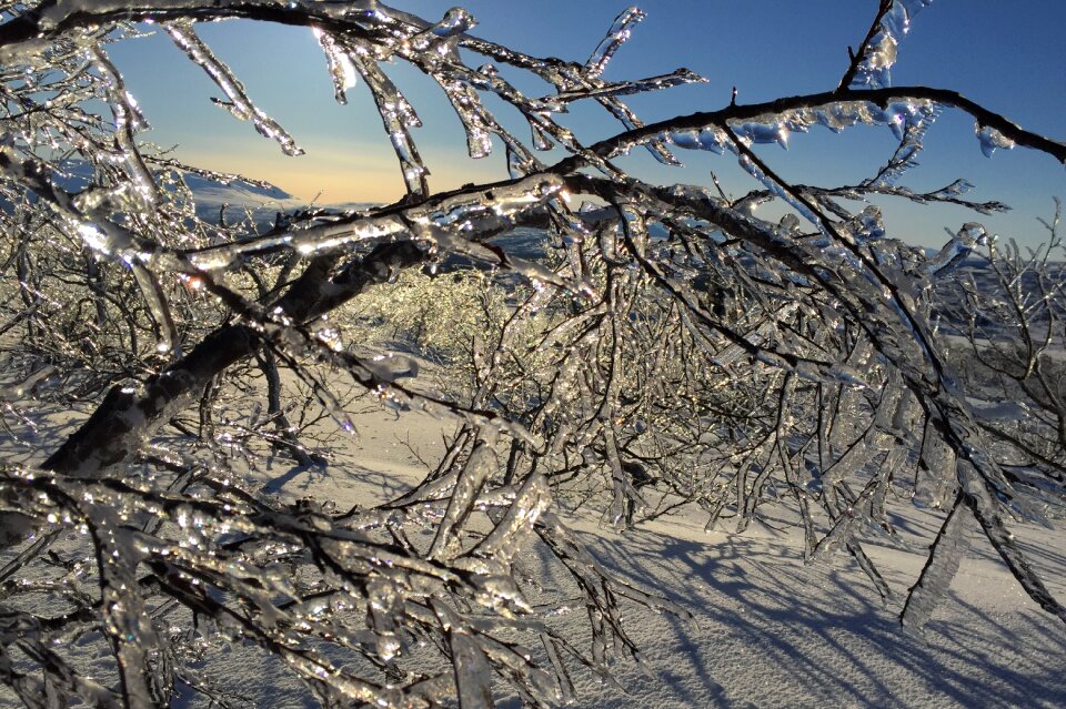 Fells jämtland storlien