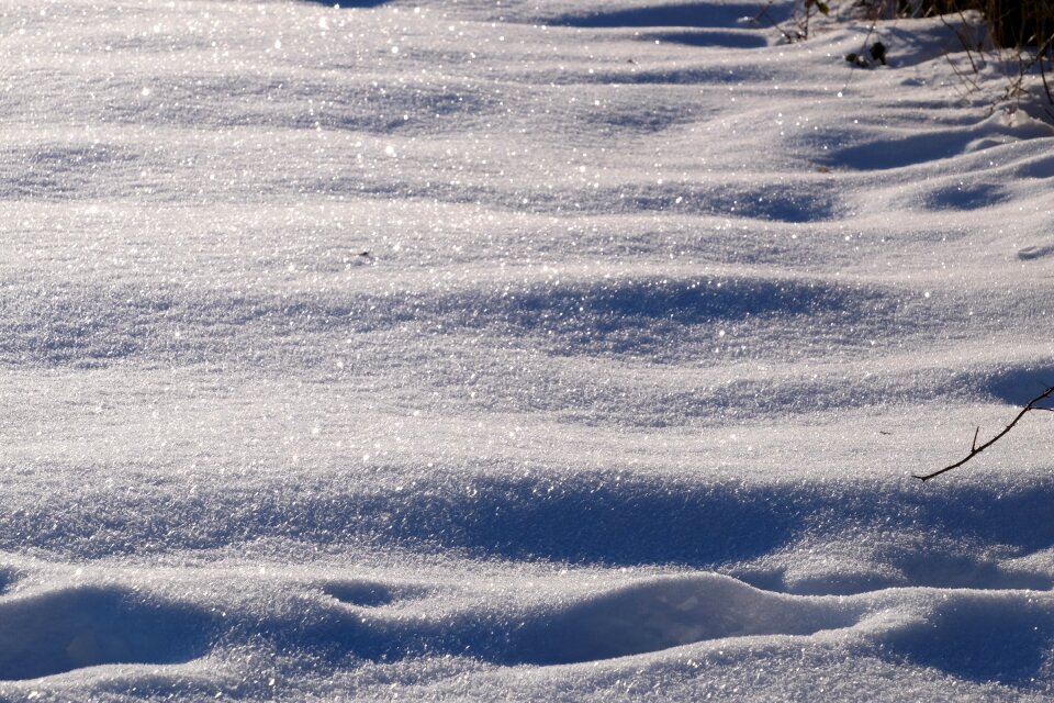 Winter cold january 2016