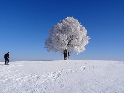 Snow cold wintry