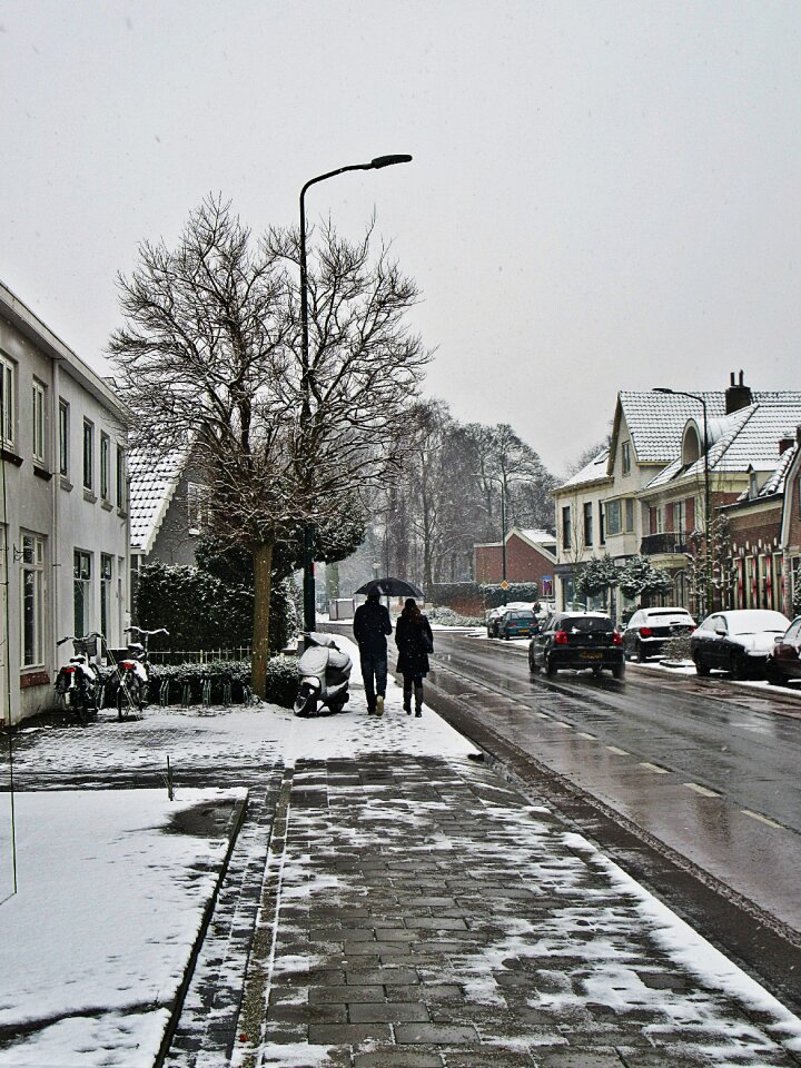 Winter snow street