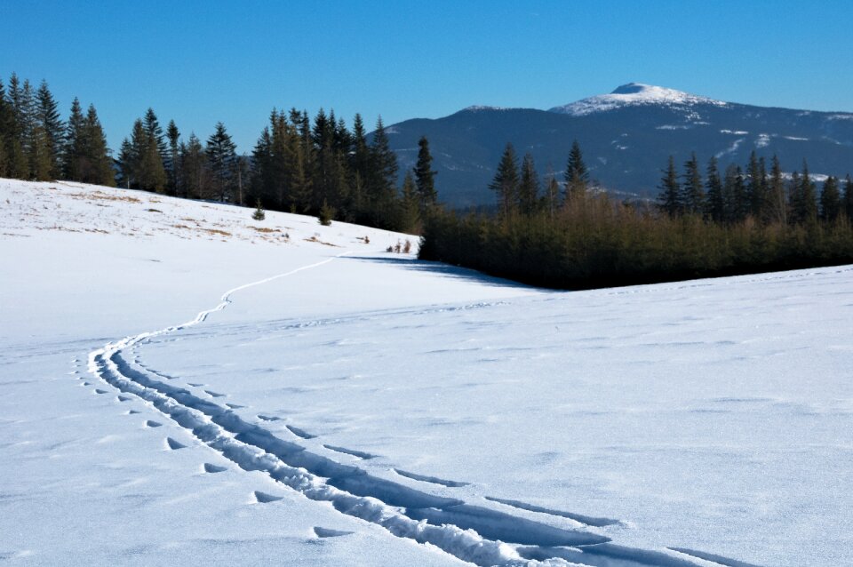 Skitury skiing traces