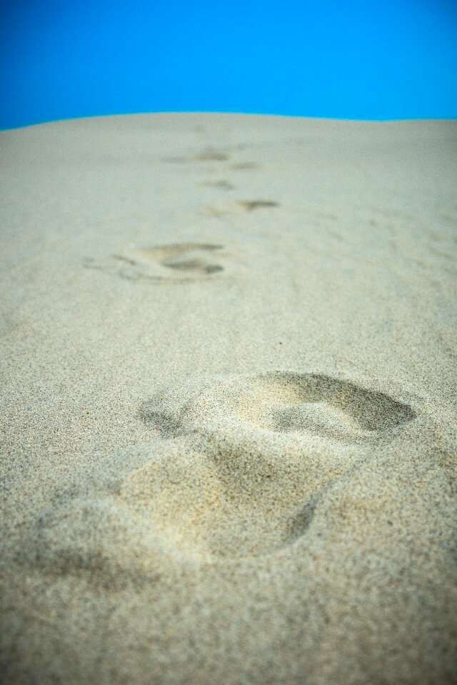 Sand beach tracks in the sand