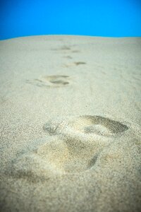 Sand beach tracks in the sand