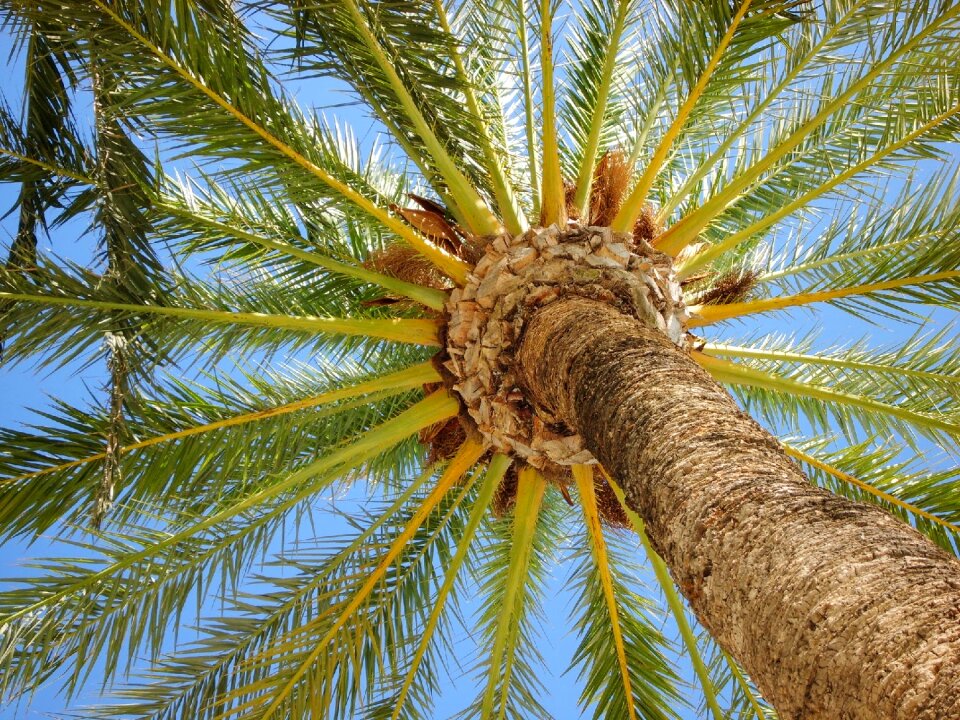 Nature summer spain