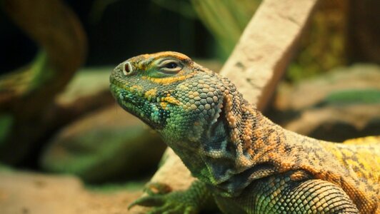 Terrarium zoo wuppertal