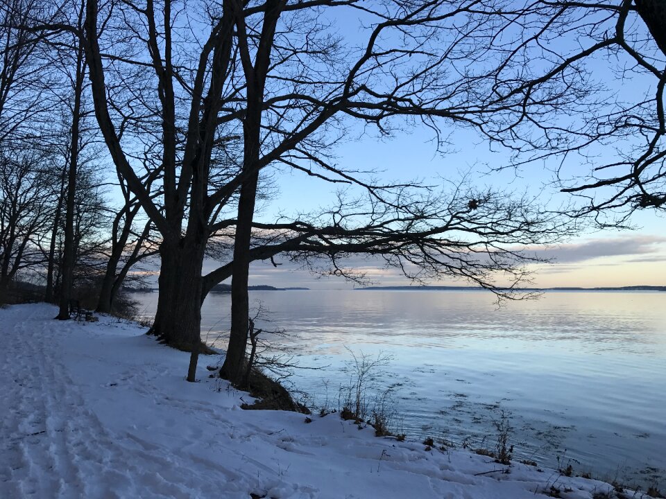 Snow nature cold