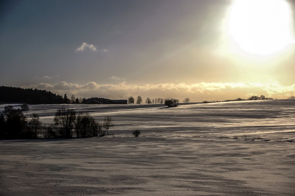 Snow nature frost